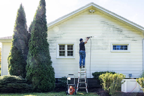 Best Building Exterior Washing  in Clute, TX