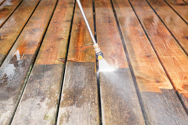 Best Dumpster Area Cleaning  in Clute, TX